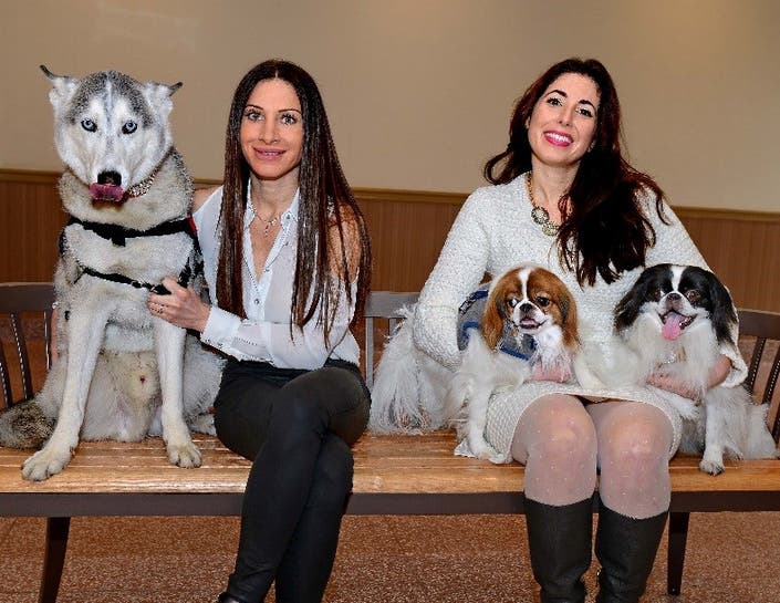 AmpliVox Supports "Celebrity Catwalk" Fundraisers for Animal Welfare