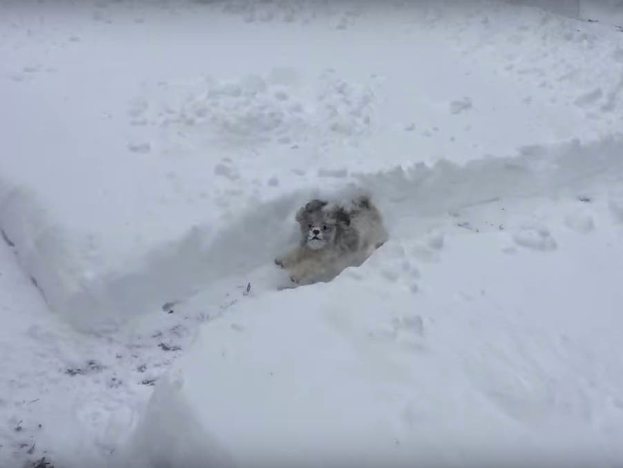 News small post card thumbnail