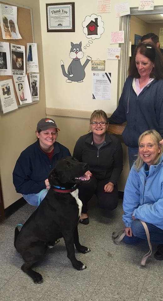 Longtime Residents at Huntington Animal Shelter Get Forever Homes