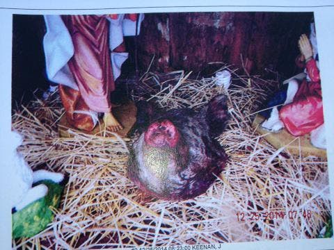 News small post card thumbnail