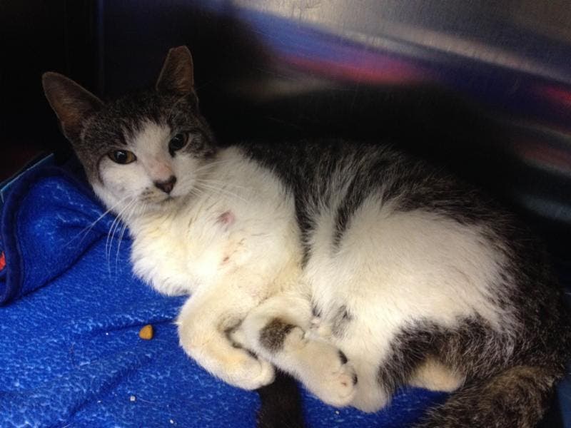 News small post card thumbnail