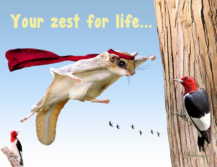 News small post card thumbnail