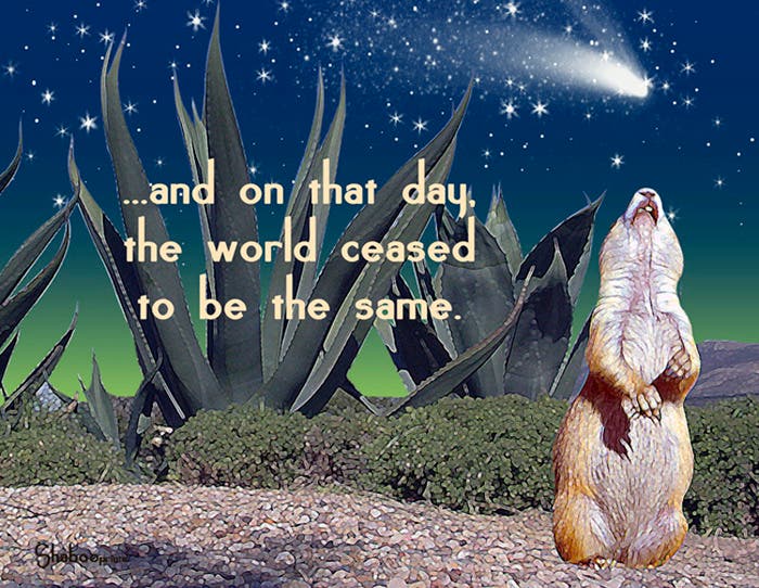 News small post card thumbnail