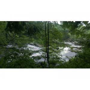 20150855ce555be9619.png