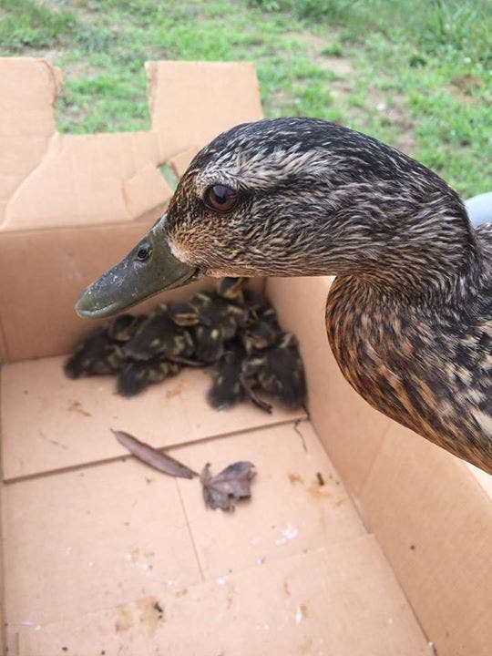 News small post card thumbnail