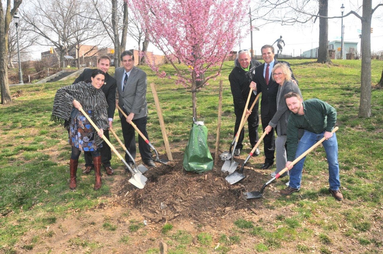 WATCH Cherry Blossom Live Feed Launches In Belleville's Branch Brook
