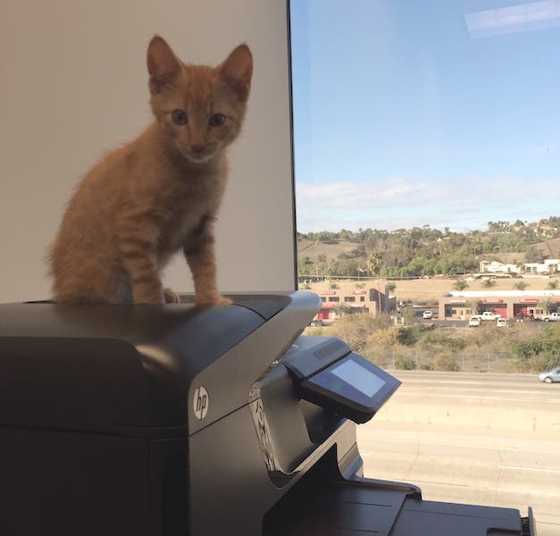 News small post card thumbnail