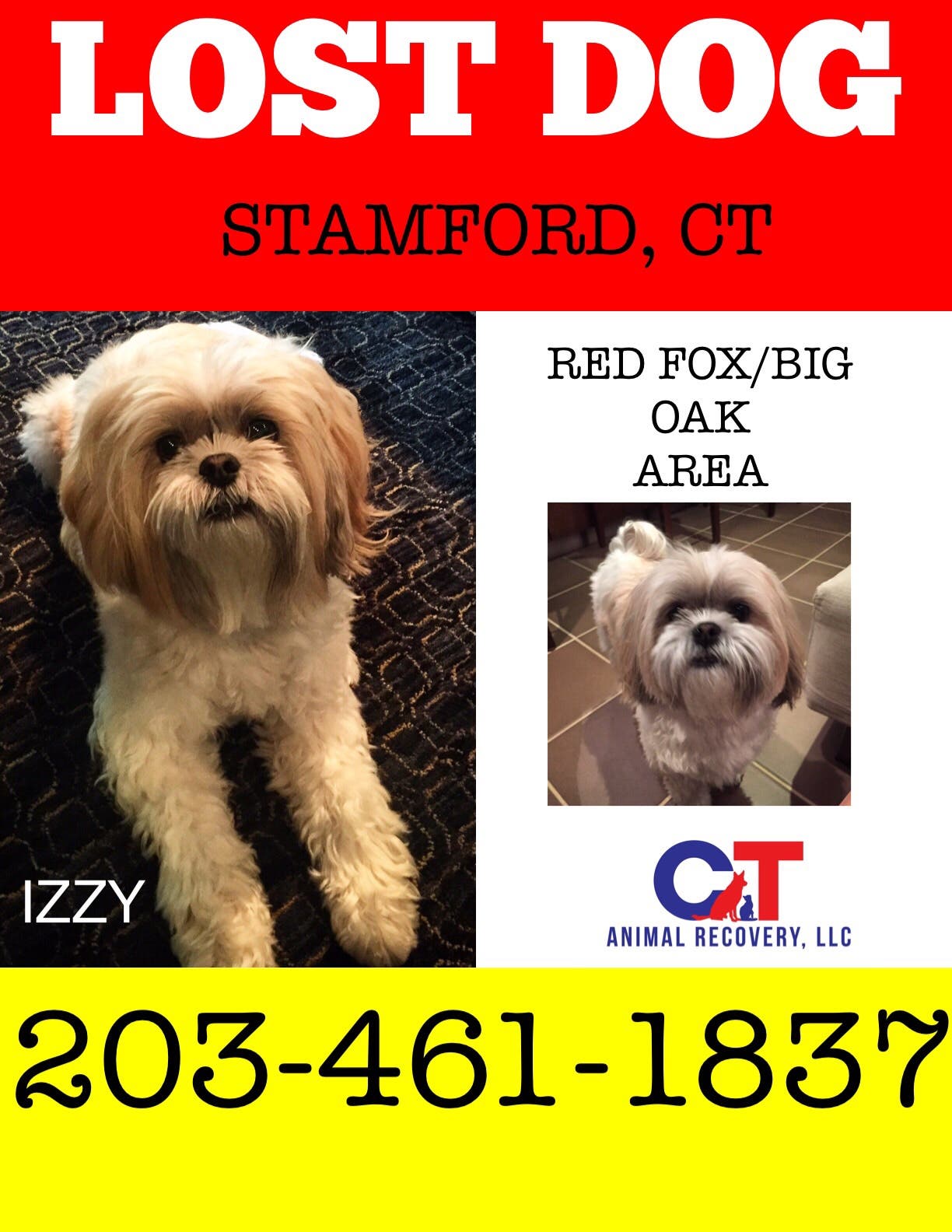 MISSING DOG IN STAMFORD | Stamford, CT Patch