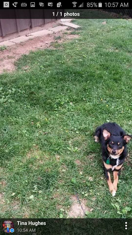 News small post card thumbnail