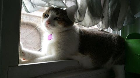 News small post card thumbnail