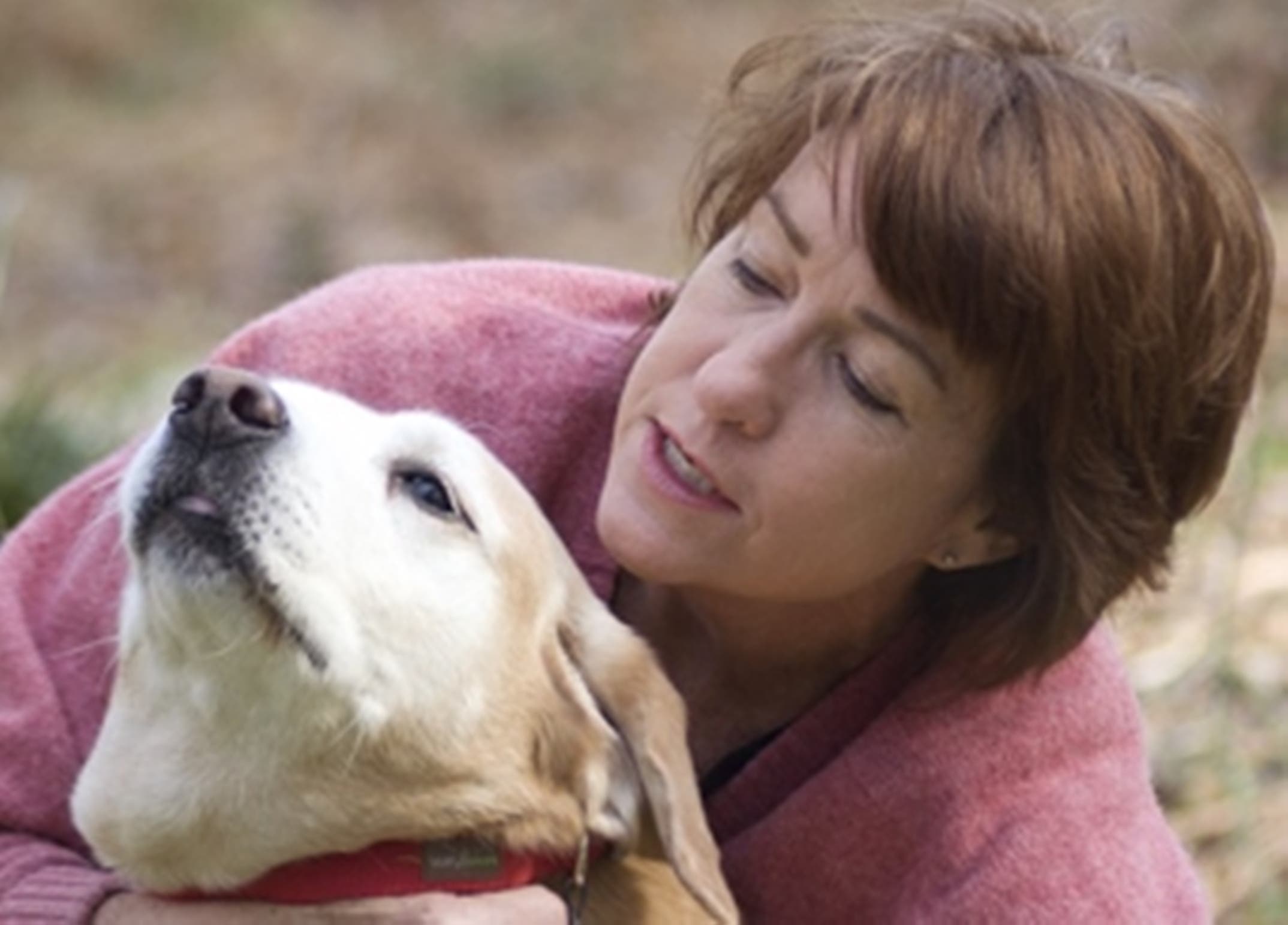 https://patch.com/img/cdn/users/22851885/stock/raw/2015045542e763af8e8.jpg