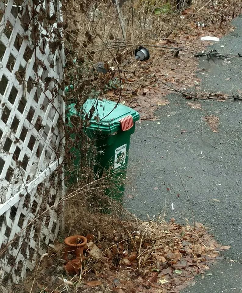 News small post card thumbnail