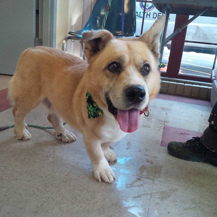 News small post card thumbnail