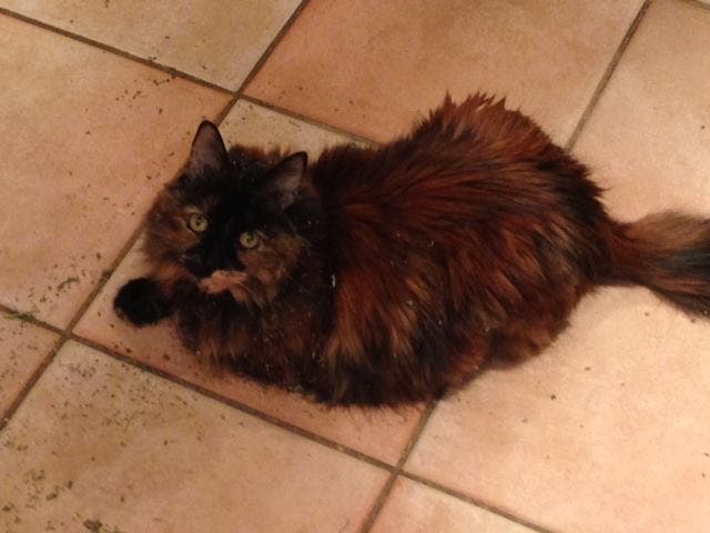 News small post card thumbnail