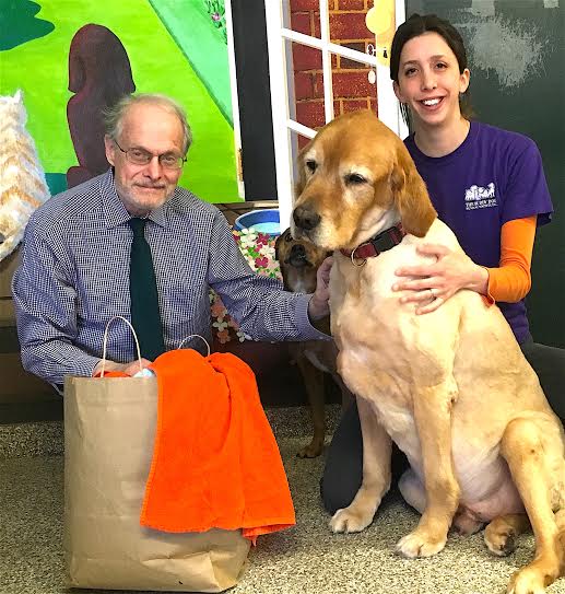Y3K Tutor in Your Home Holds 13th Annual Animal Shelter Drive Newton
