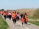 AmpUp! Long Island: Move to End Bladder Cancer on May 7-0