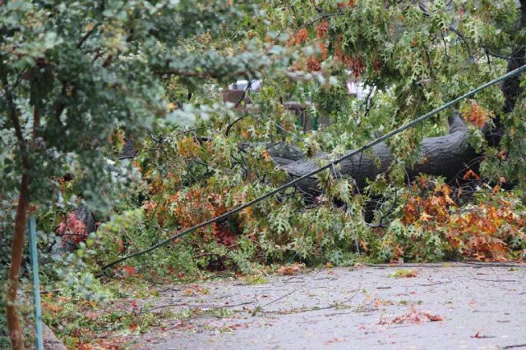 Arlington County: All Power Should Be Restored by Thursday Night