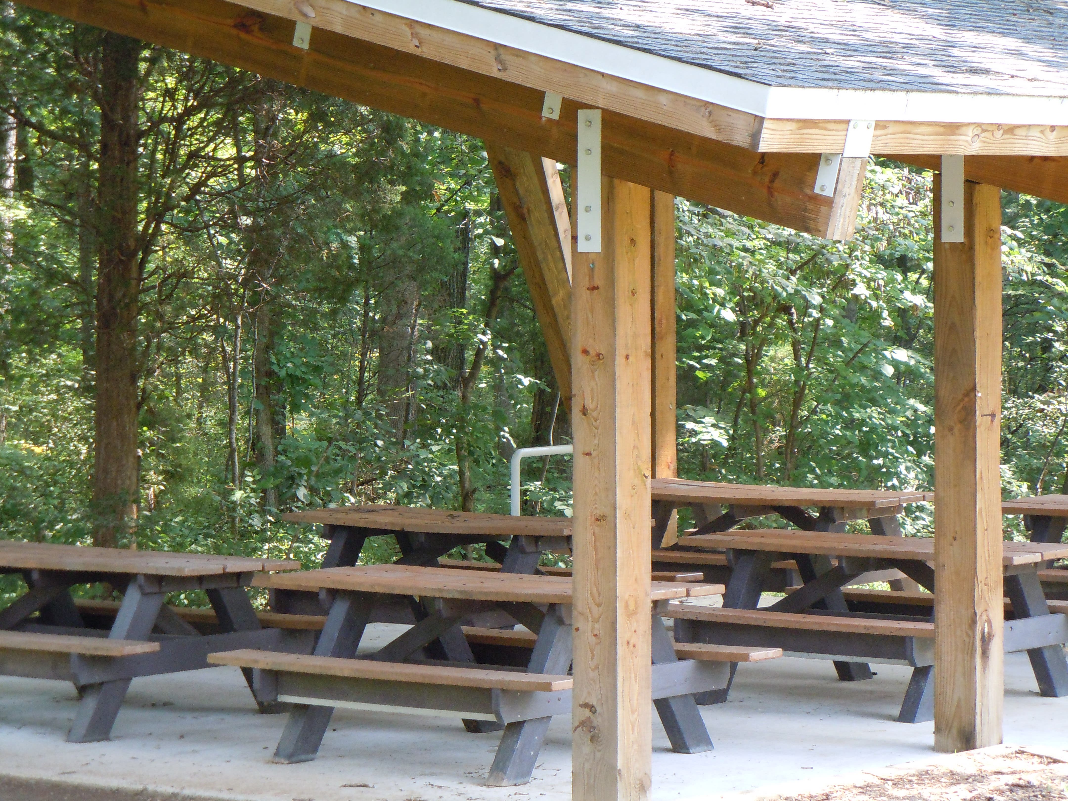 Friends of Runnymede to Hold Educational Park Program