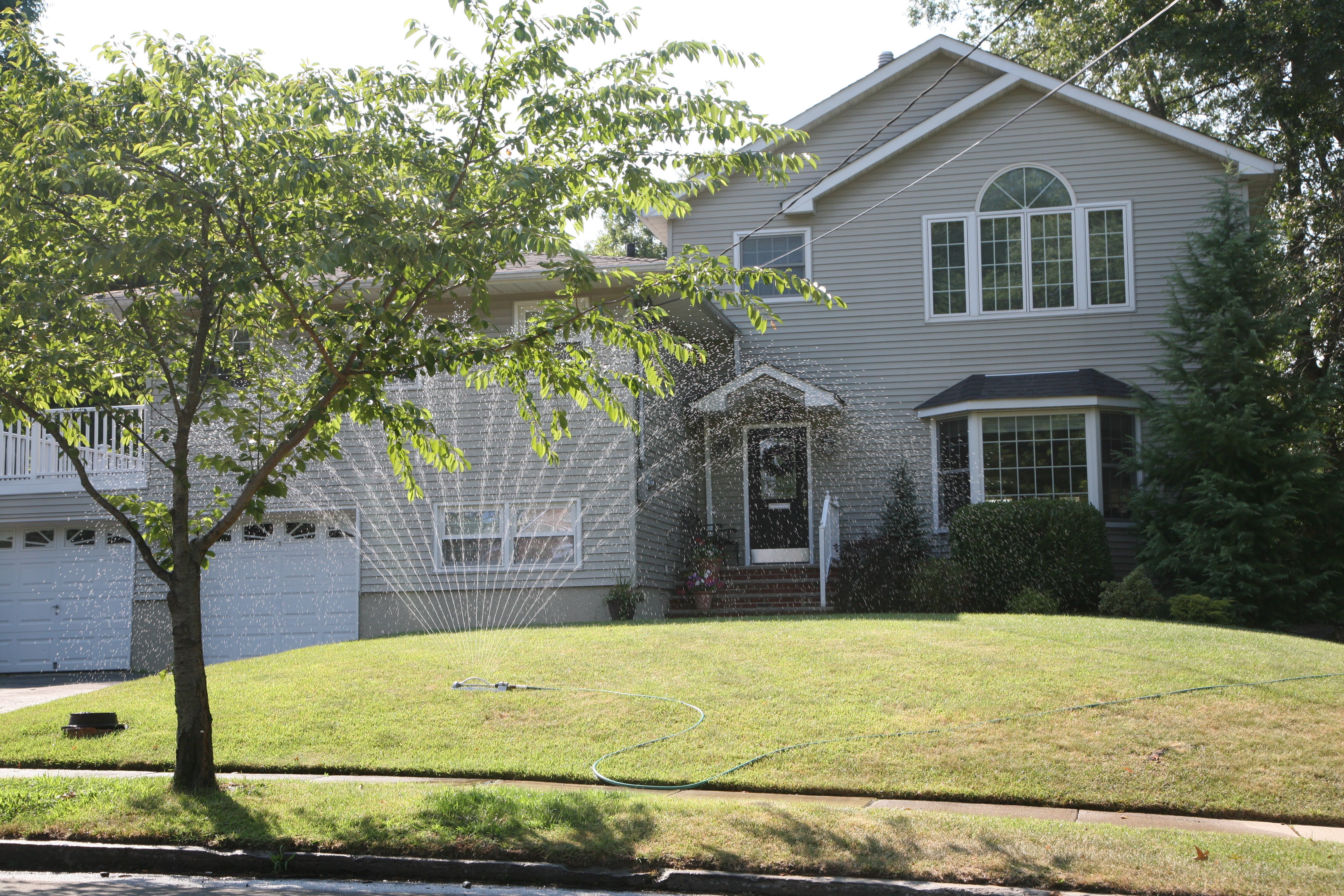 Let Those Lawns Go Brown