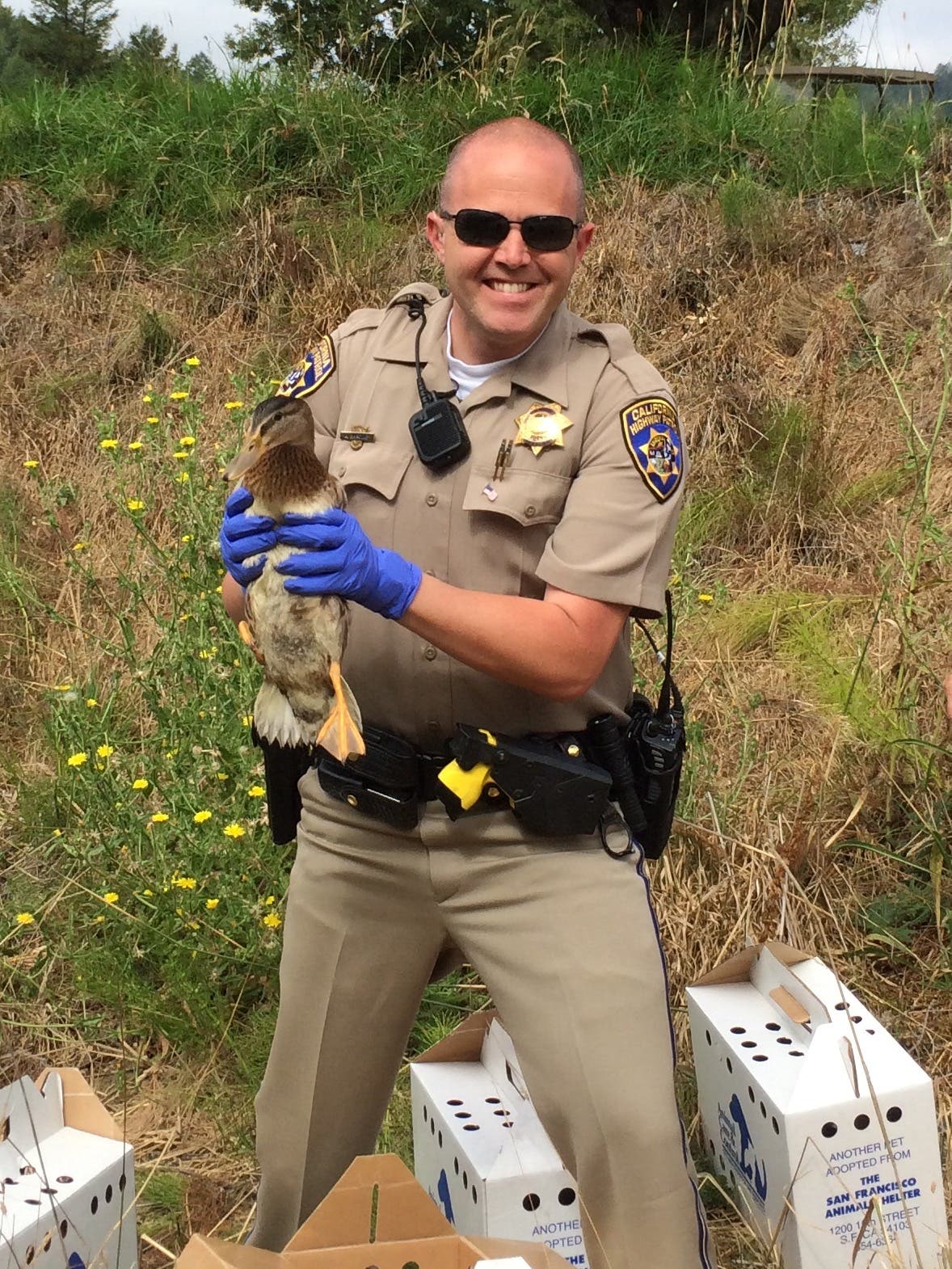 News small post card thumbnail