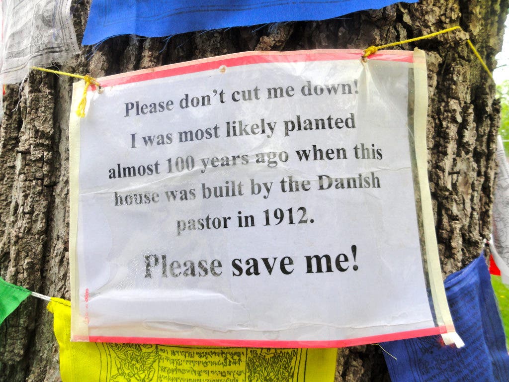 News small post card thumbnail