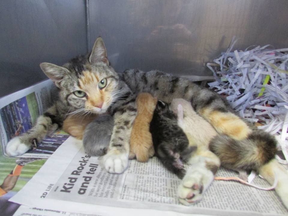 News small post card thumbnail