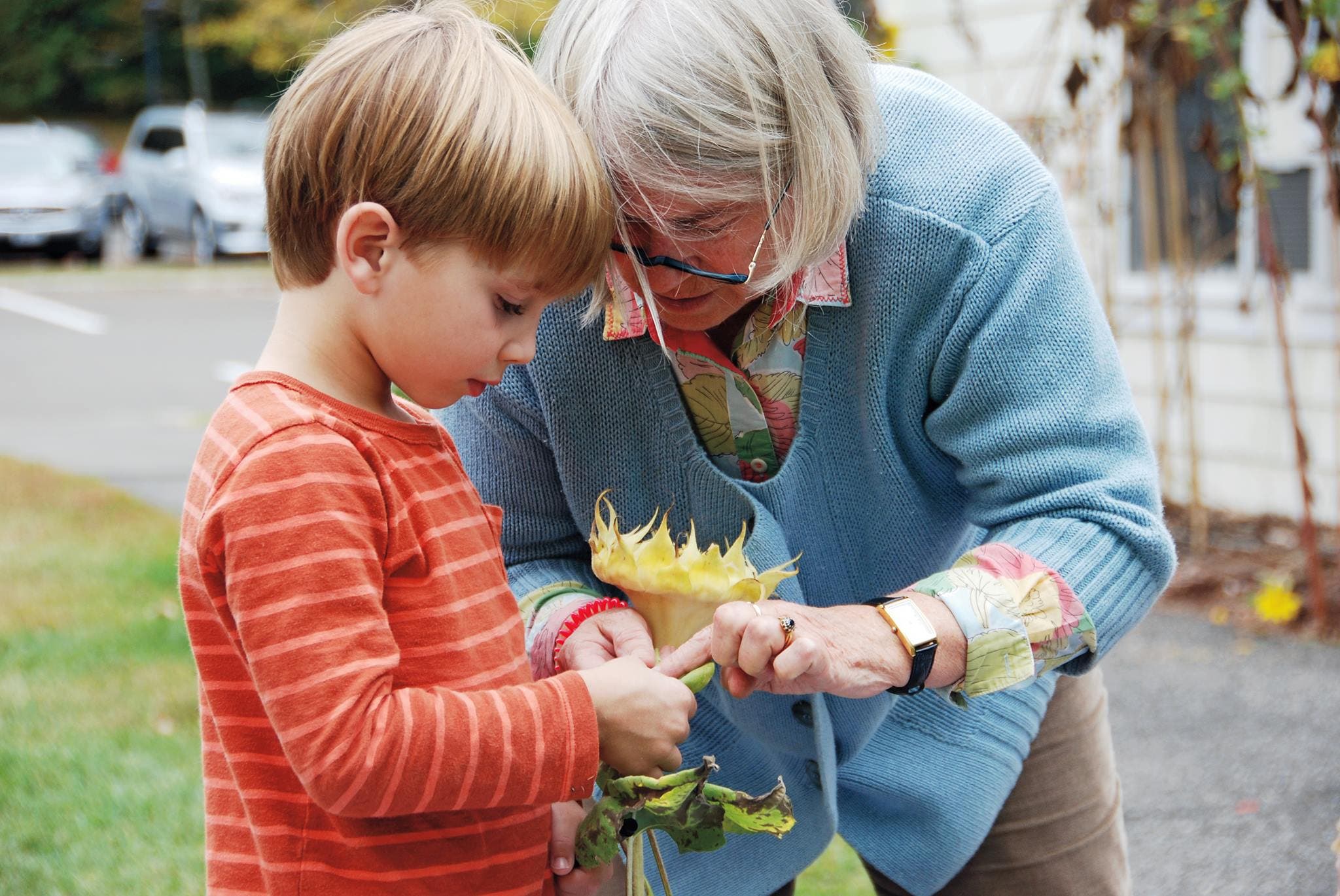 News small post card thumbnail