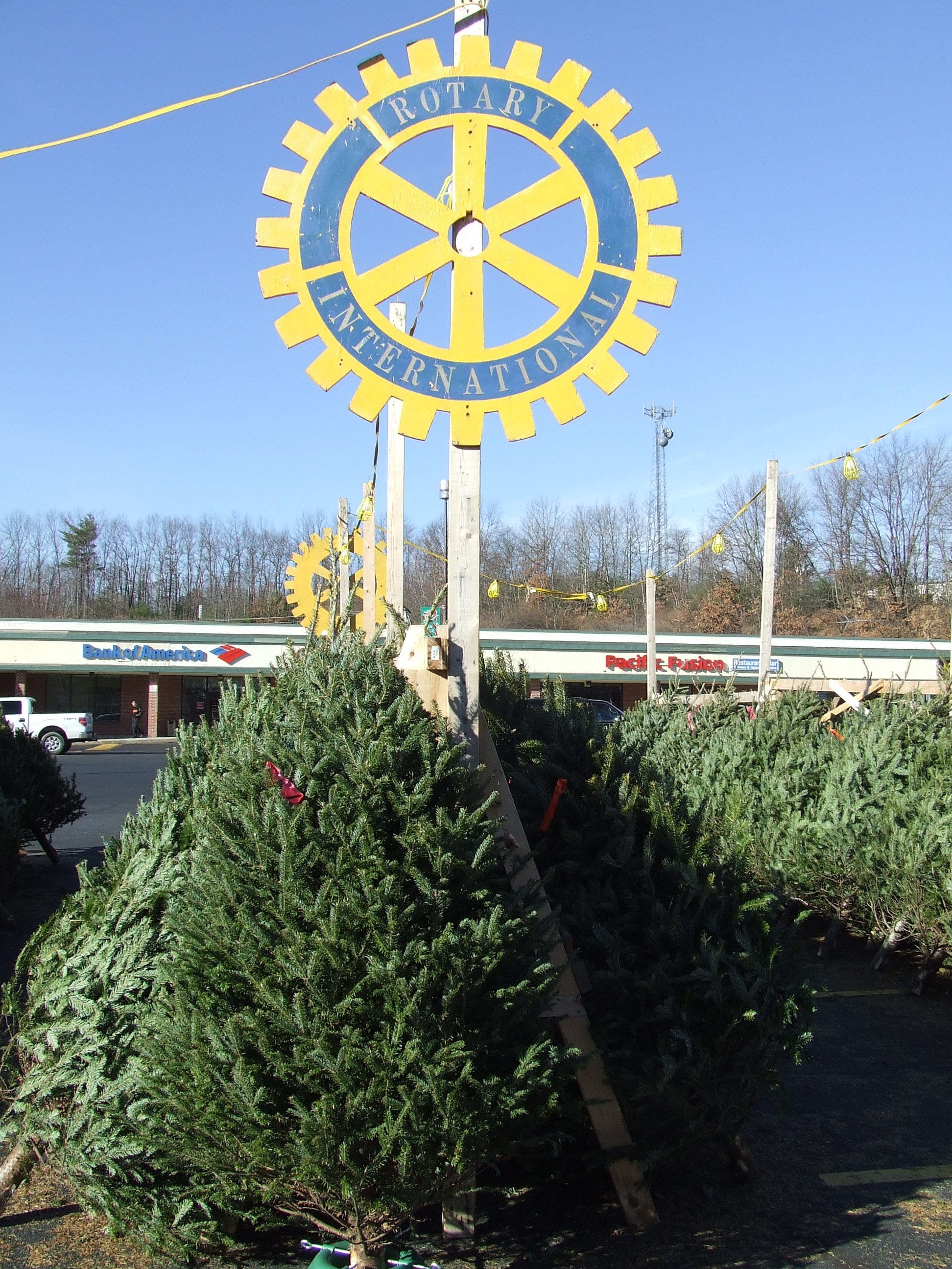 Rotary Club of Merrimack Annual Christmas Tree Sale Starts Today