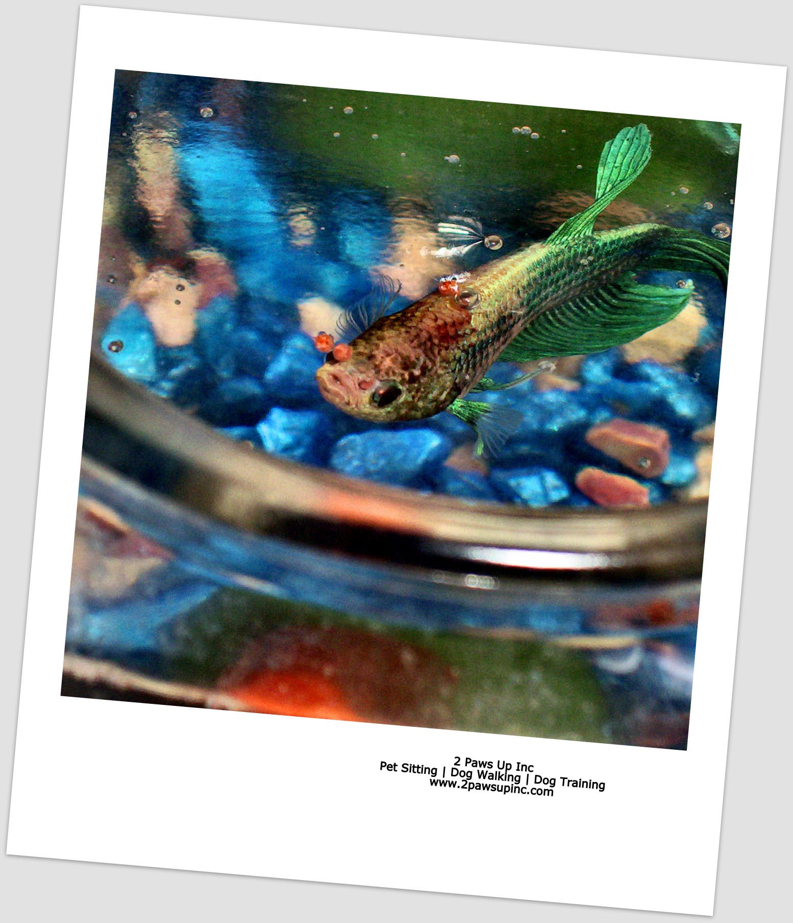 News small post card thumbnail