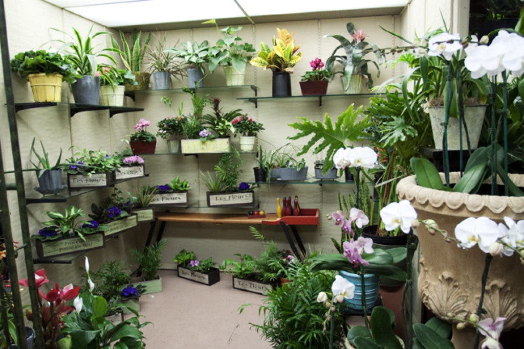 Viewfinder Scarsdale Flower Shop Scarsdale, NY Patch