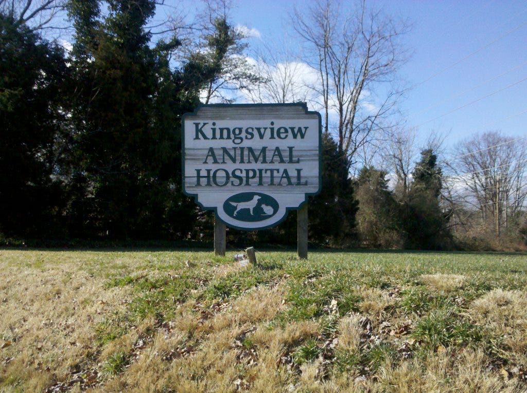 At Kingsview Animal Hospital, Loving Pets Can Be Terrific and Traumatic Kingstowne, VA Patch