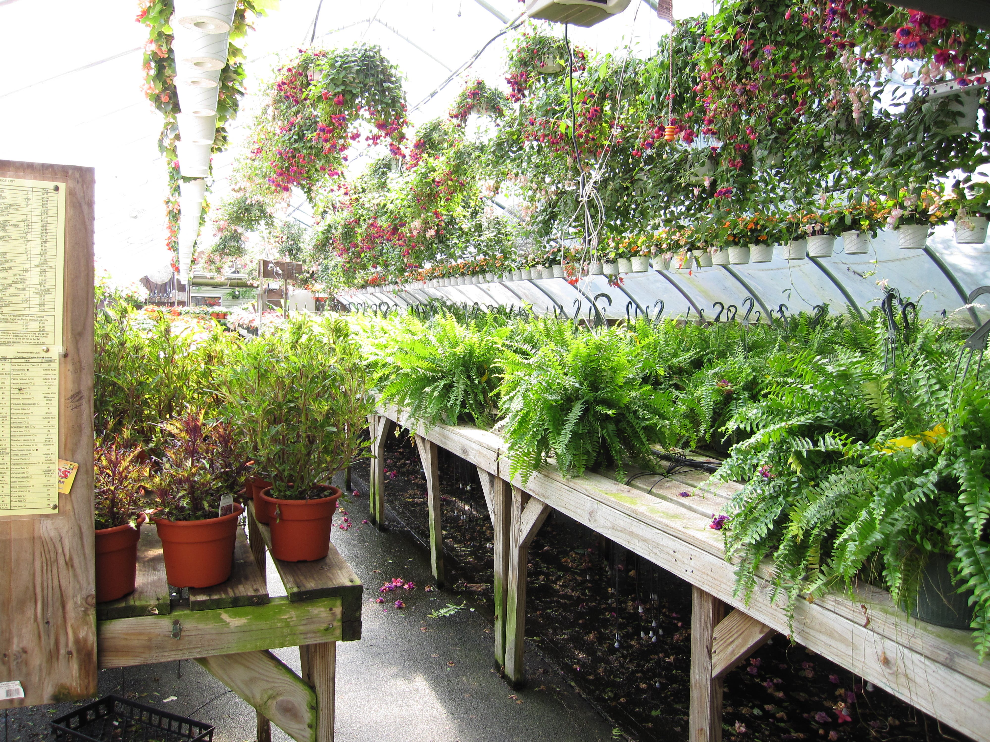 Bloomin Haus Organic In Your Backyard Sachem, NY Patch