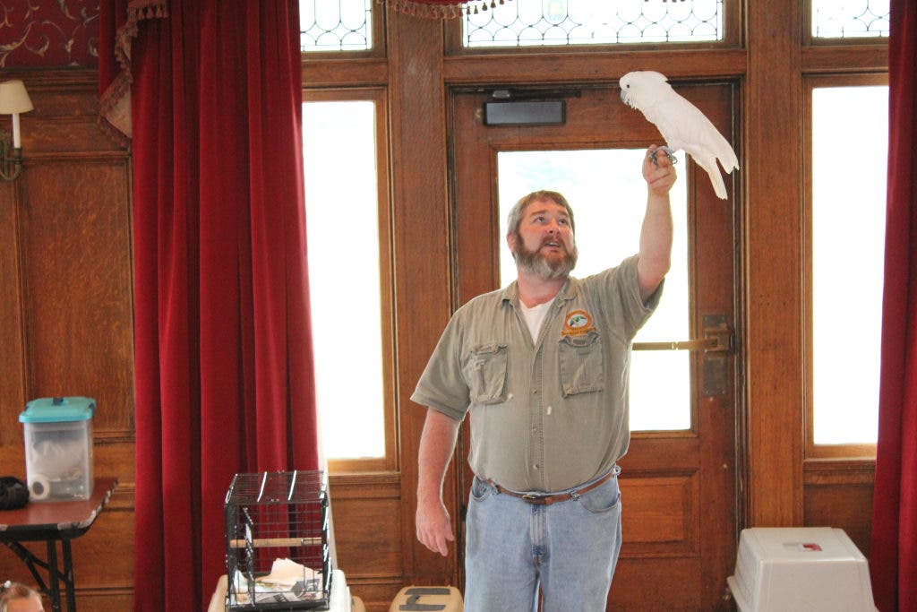 News small post card thumbnail