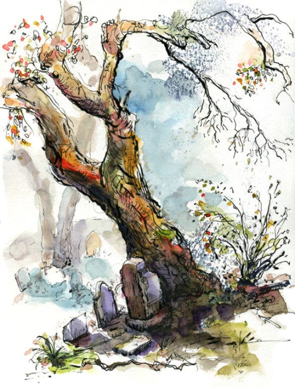 News small post card thumbnail