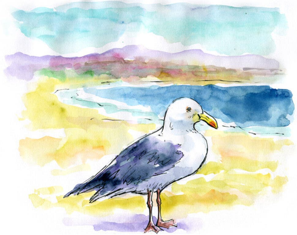 News small post card thumbnail
