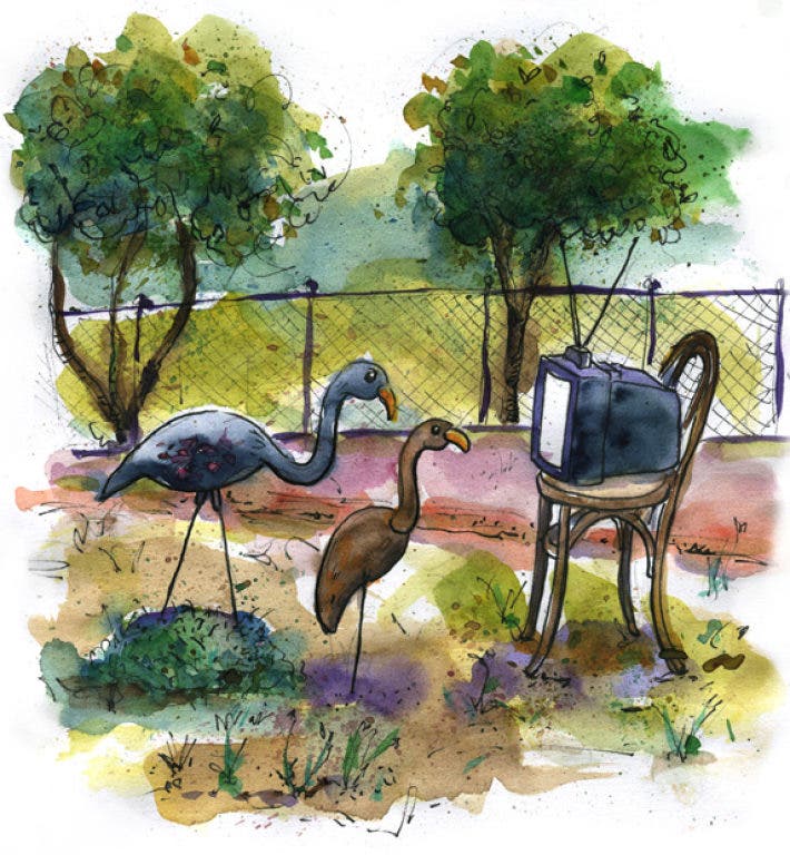 News small post card thumbnail