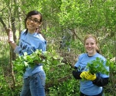 News small post card thumbnail