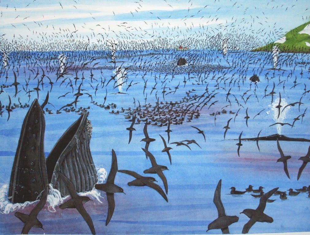 News small post card thumbnail