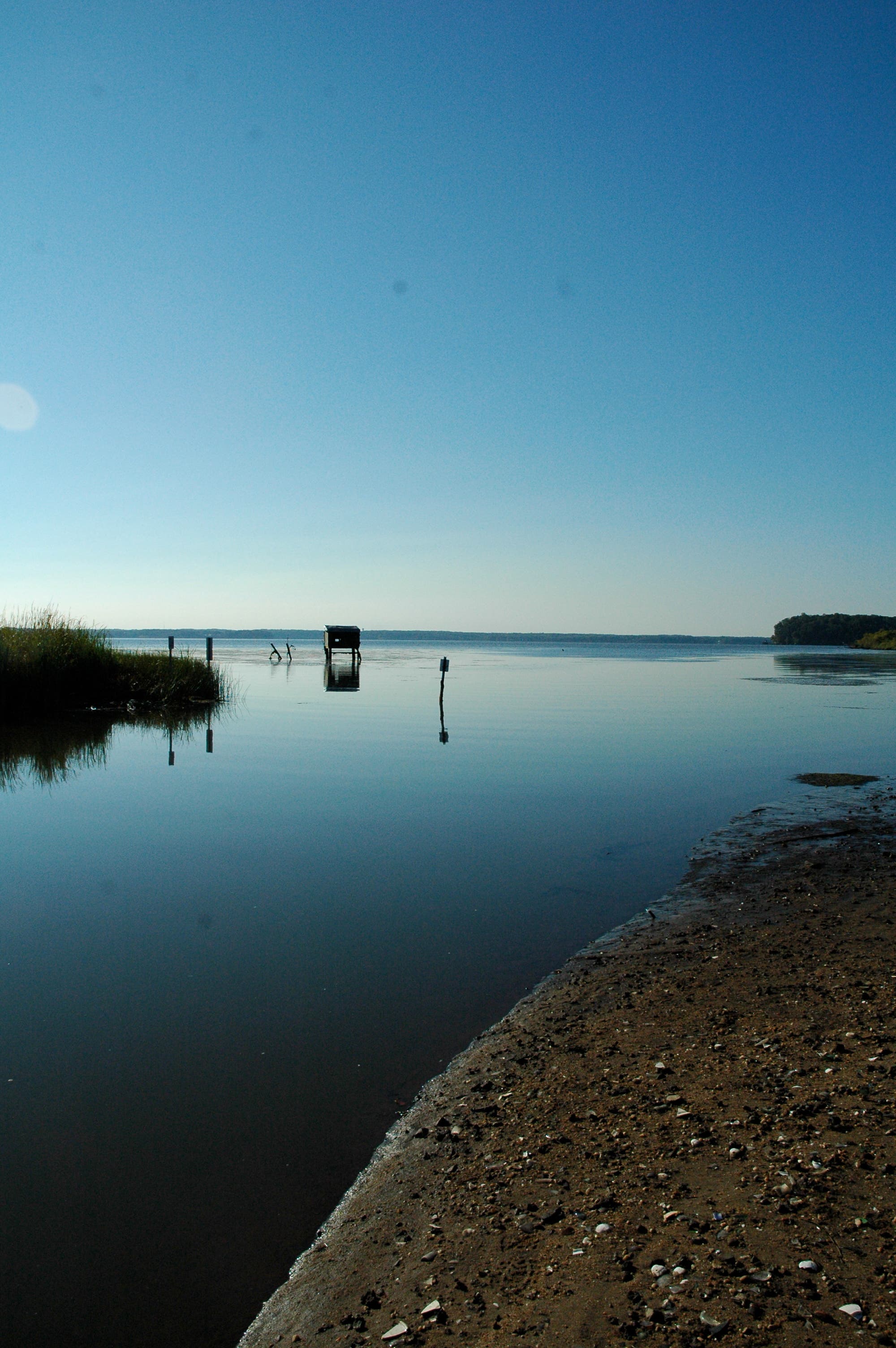 Photos Featherstone National Wildlife Refuge Tour Woodbridge, VA Patch