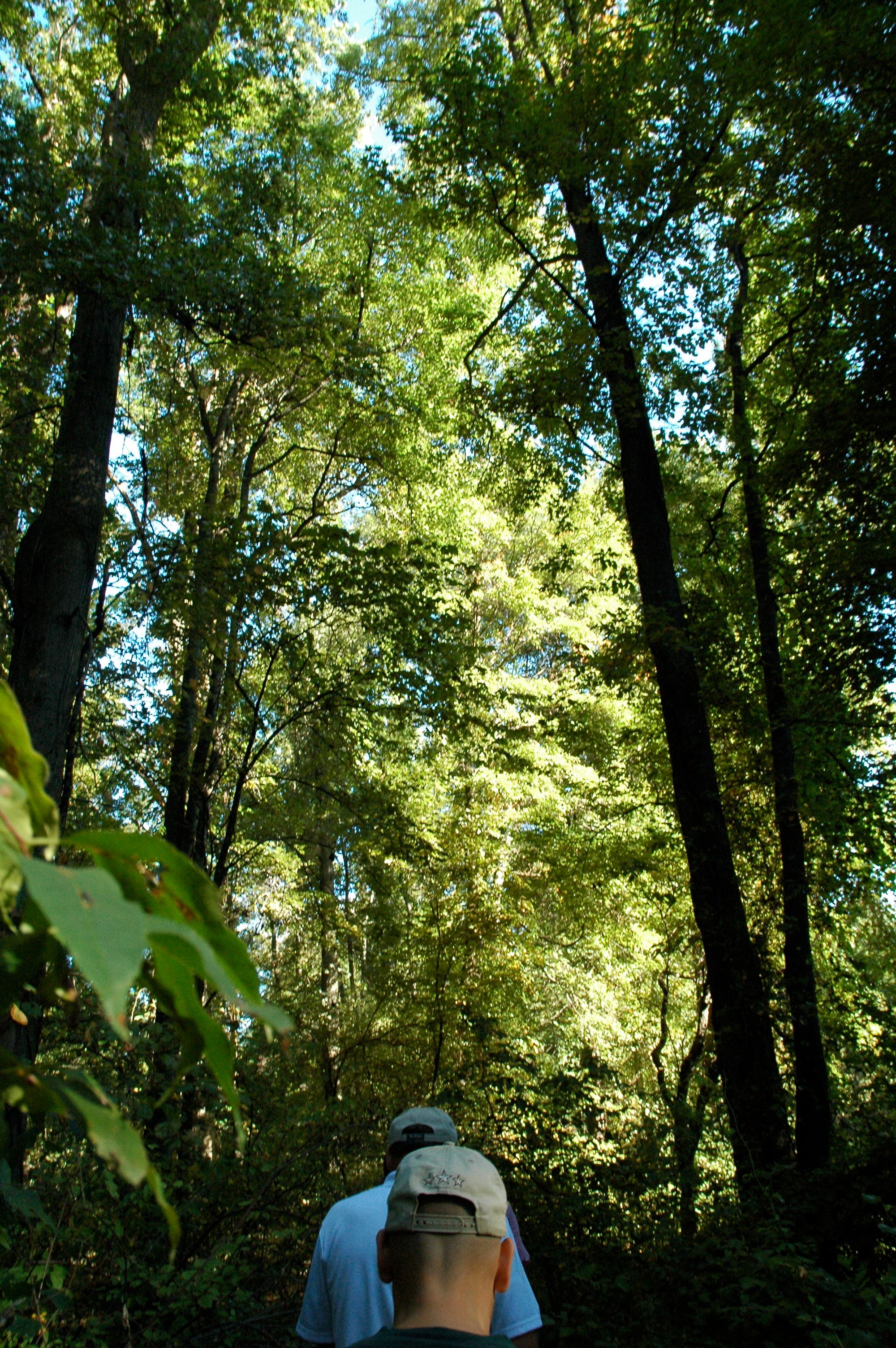 Photos Featherstone National Wildlife Refuge Tour Woodbridge, VA Patch