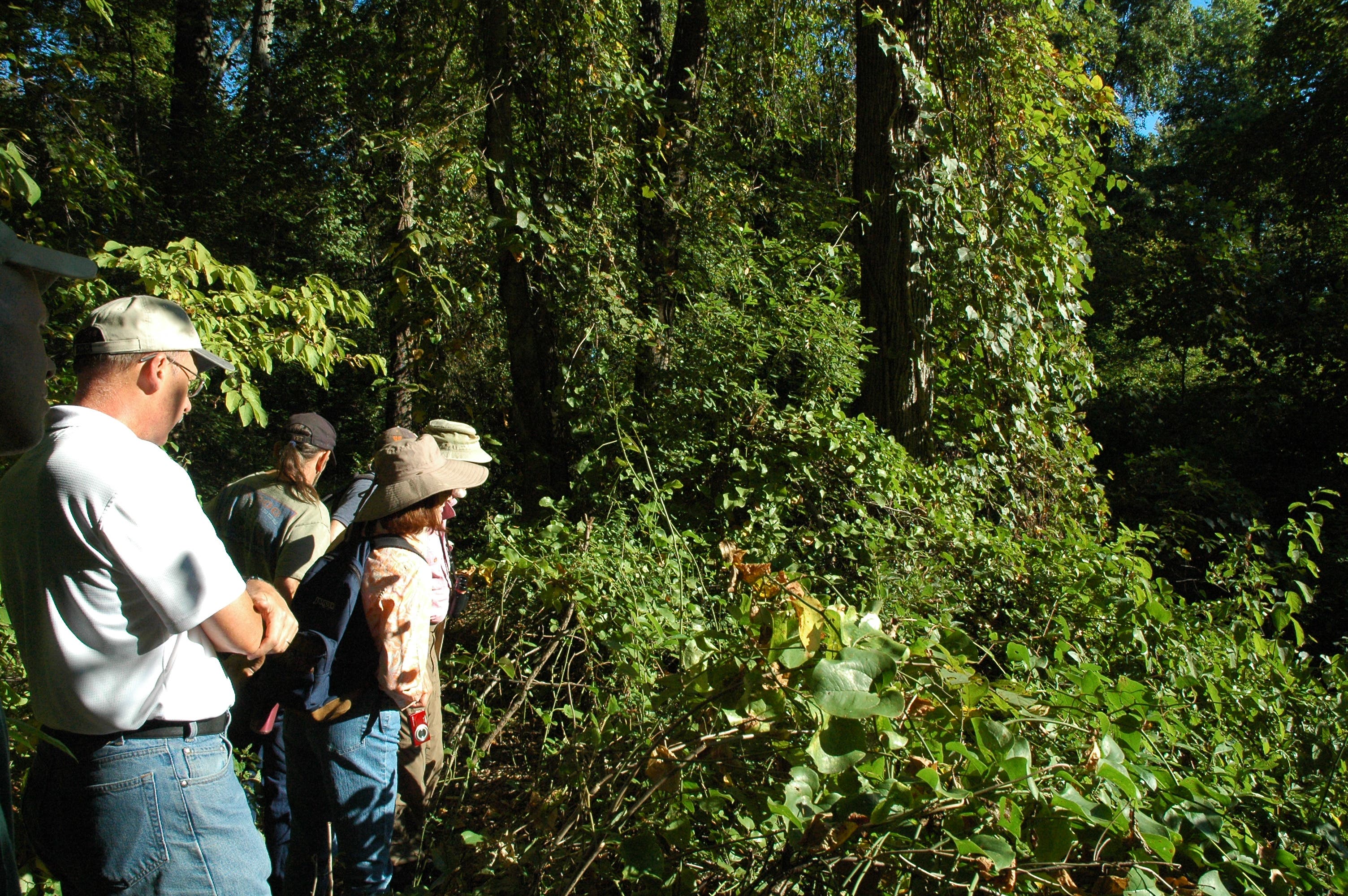 Photos Featherstone National Wildlife Refuge Tour Woodbridge, VA Patch