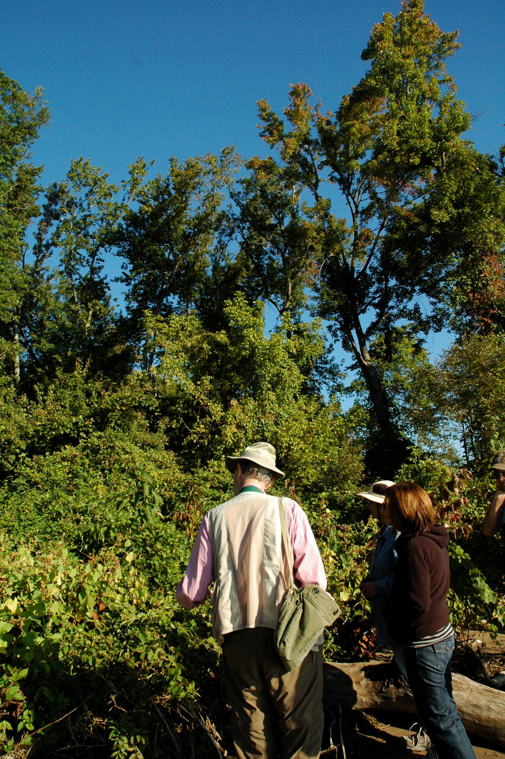 Photos Featherstone National Wildlife Refuge Tour Woodbridge, VA Patch