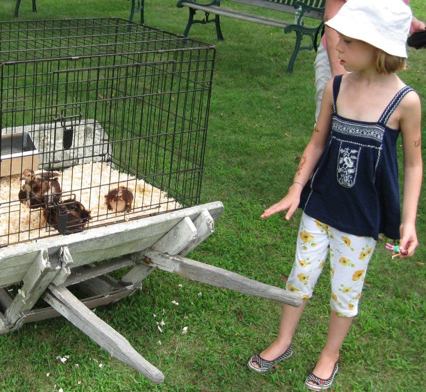 News small post card thumbnail