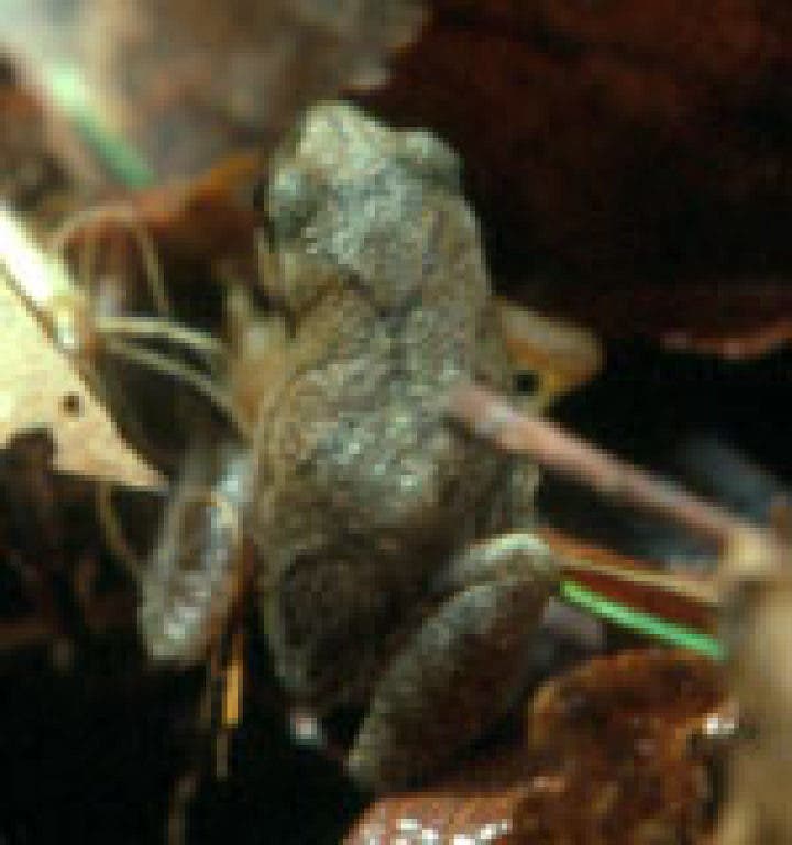 https://patch.com/img/cdn/users/33117/2011/03/raw/db17b4a8ba842d4c23c0b4fc11280d2.jpg