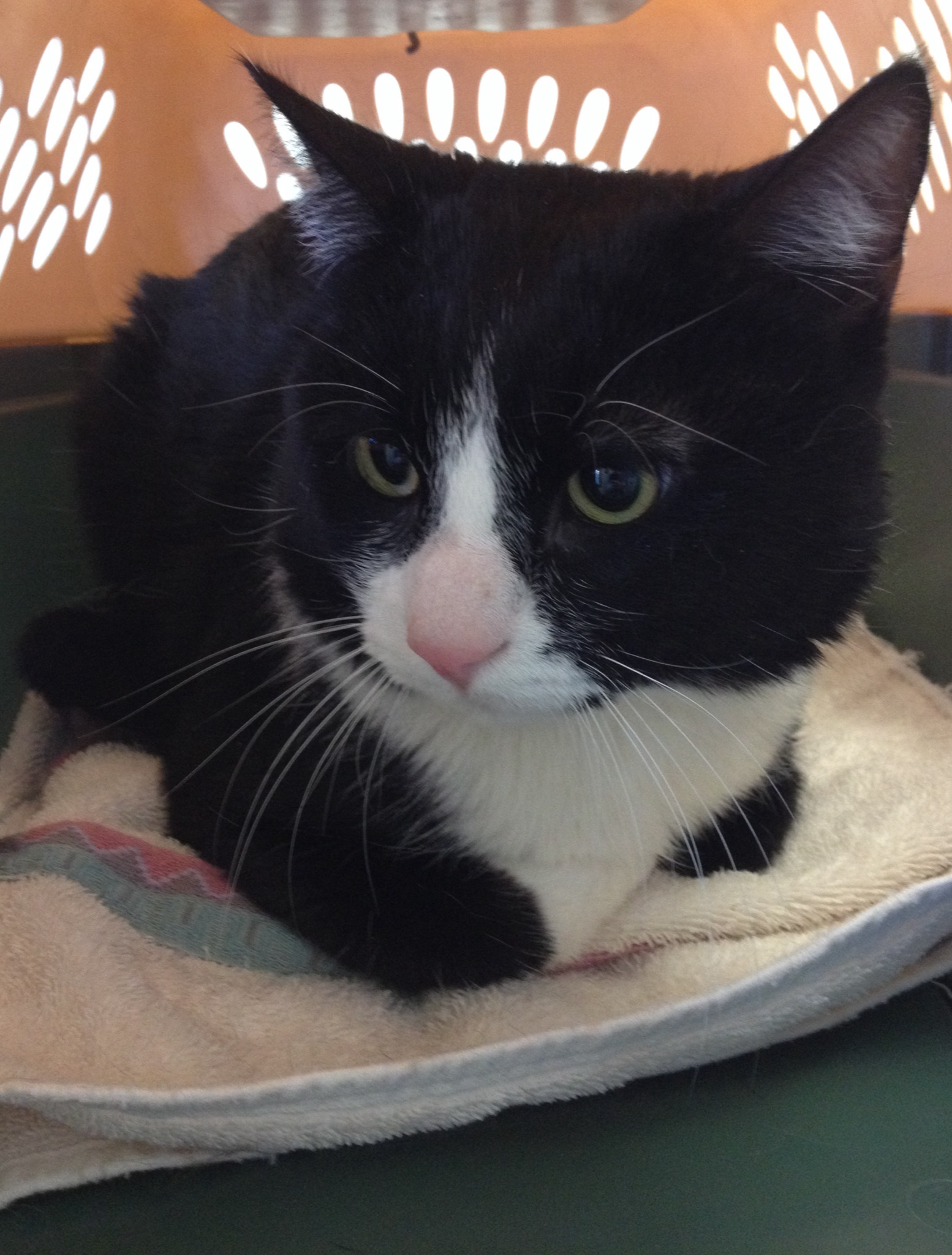 News small post card thumbnail