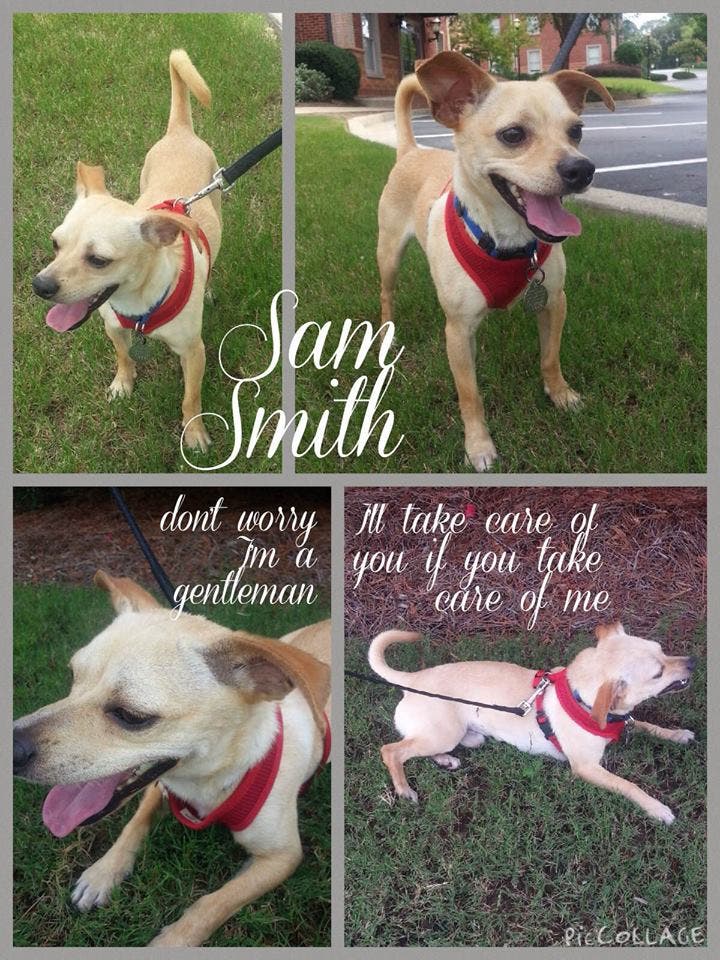 News small post card thumbnail