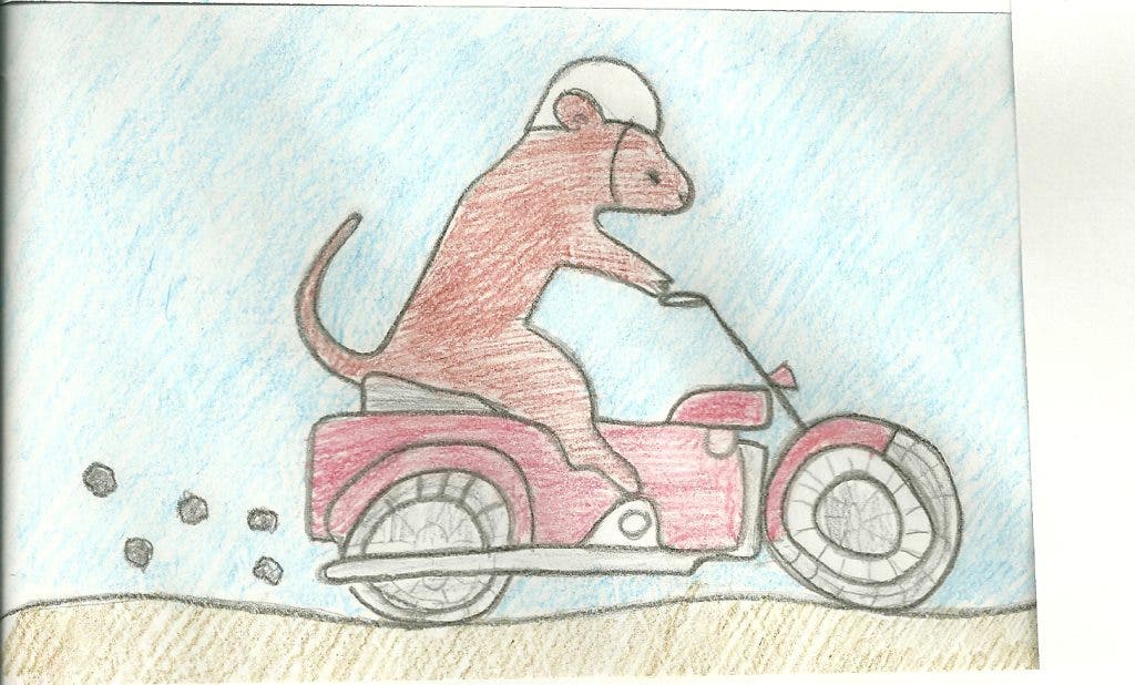 News small post card thumbnail