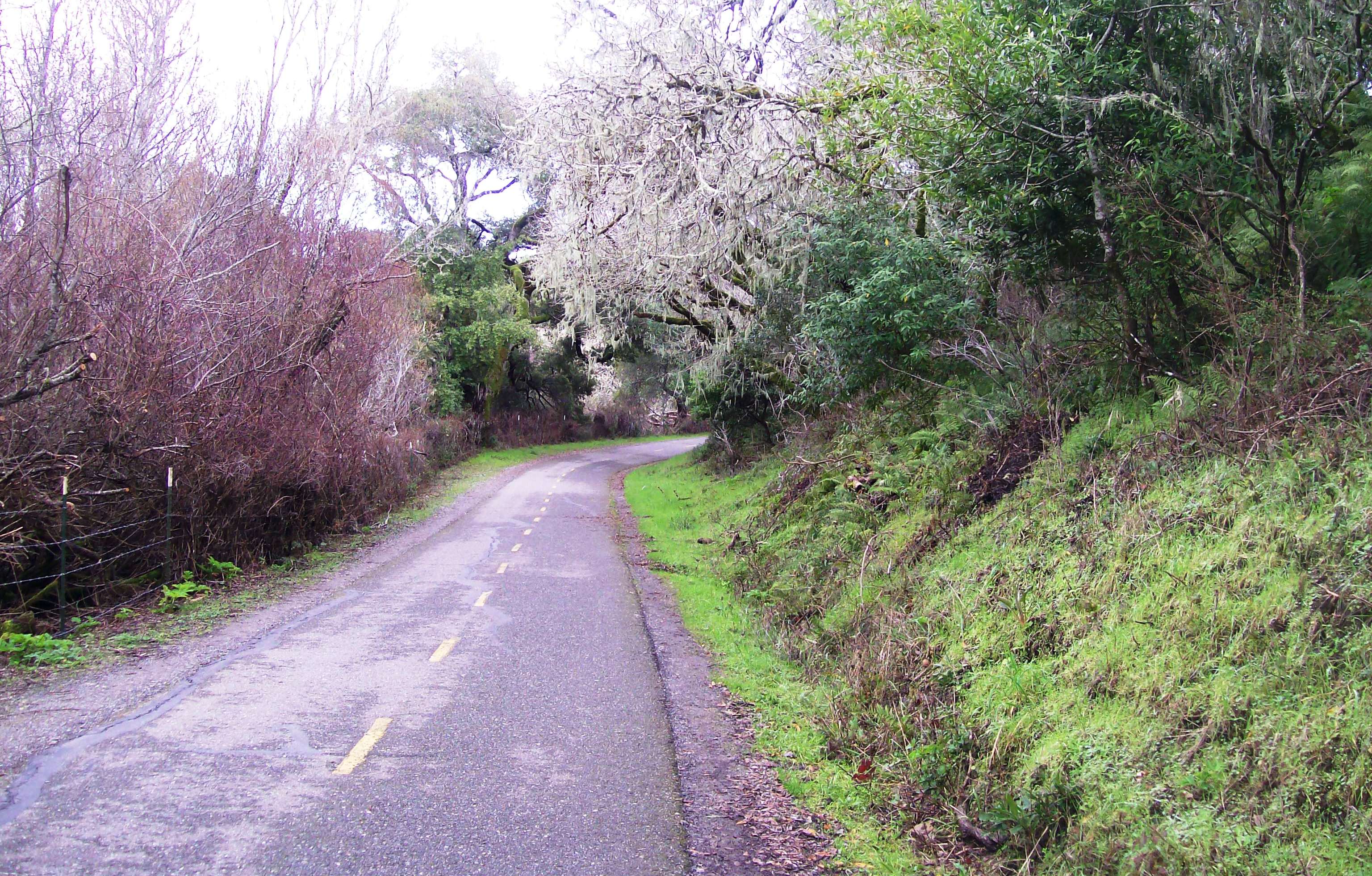 Sawyer Camp Trail closure notice.