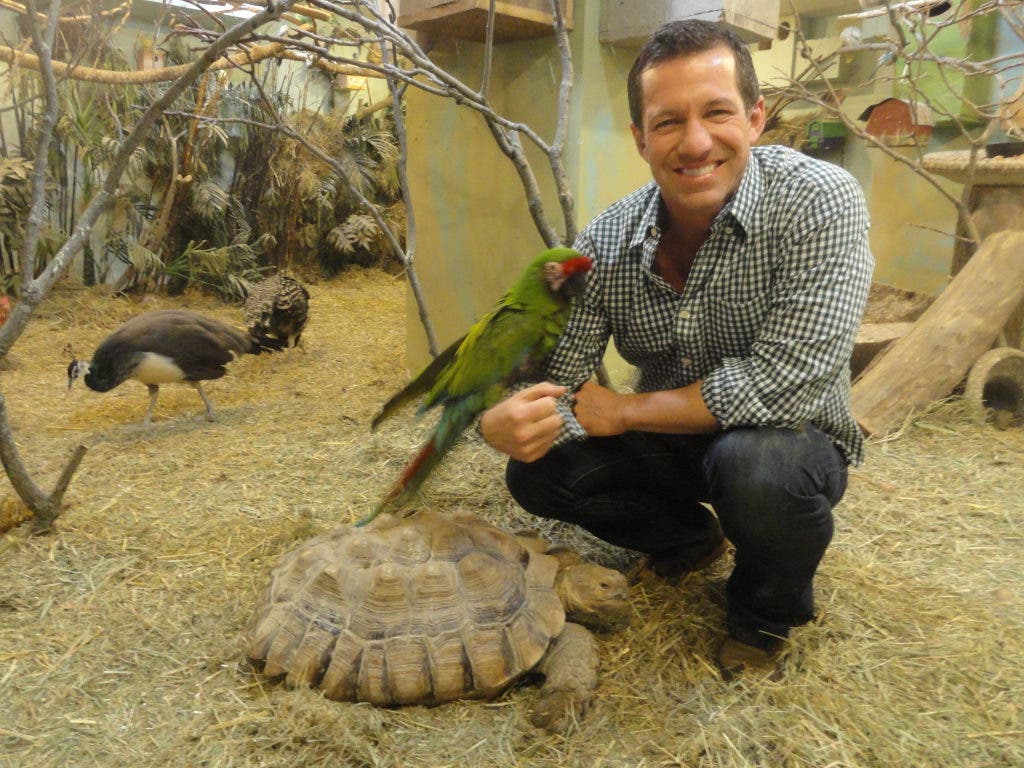 For the Birds: Nearly 100 Live in La Grange Basement Aviary | La Grange ...