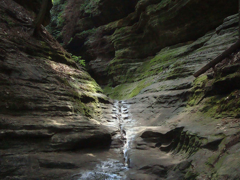 Elmhurst Rocks Elmhurst Man Has a Broken Neck After Fall at Starved Rock | Elmhurst ...